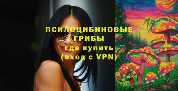 прущие крисы Армянск