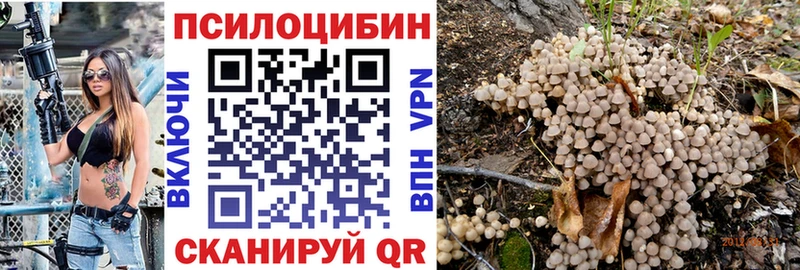 Псилоцибиновые грибы ЛСД  OMG рабочий сайт  Бабаево 