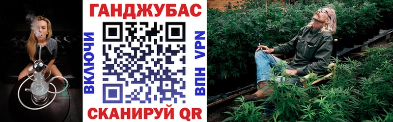 Каннабис гибрид  Бабаево 
